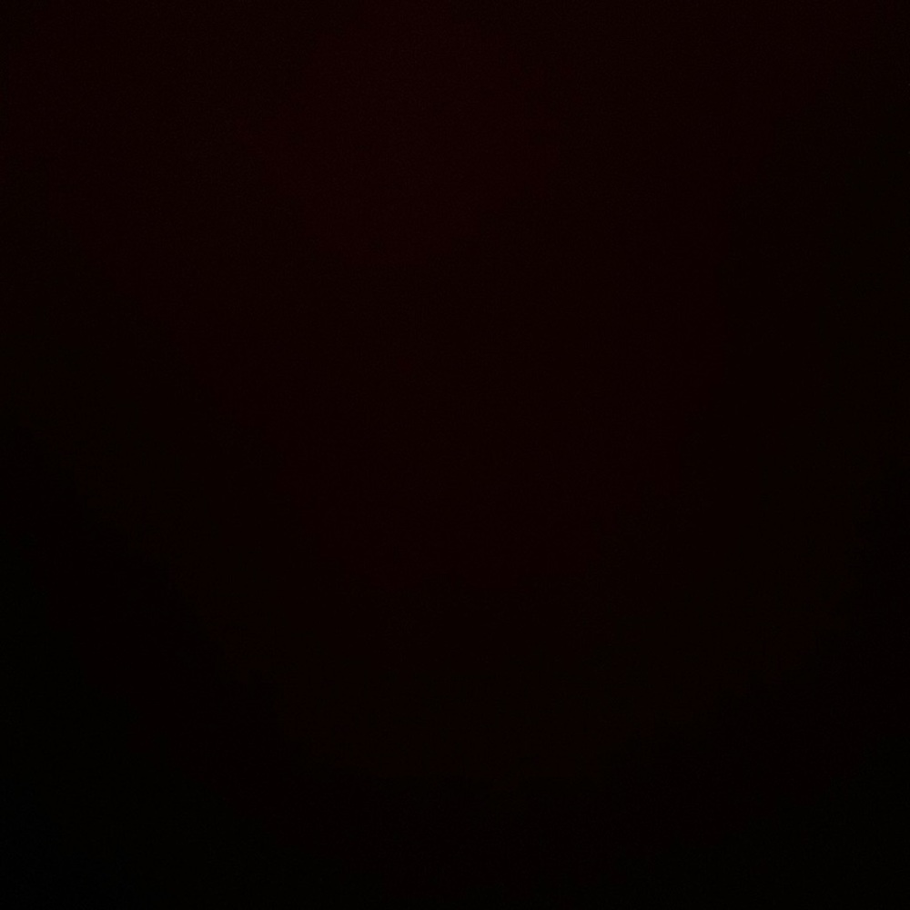 Padded Sports bras (two)